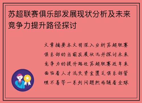 苏超联赛俱乐部发展现状分析及未来竞争力提升路径探讨