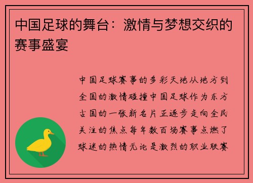 中国足球的舞台：激情与梦想交织的赛事盛宴